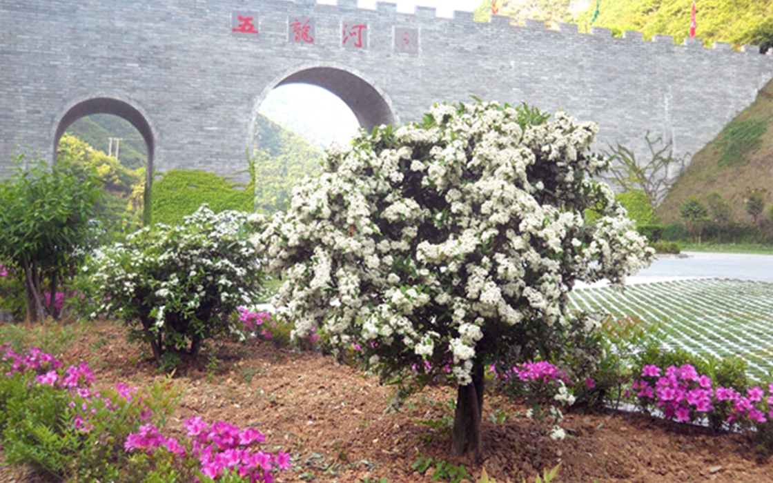 88858cc永利(Macau)有限公司官网·Unique Platform